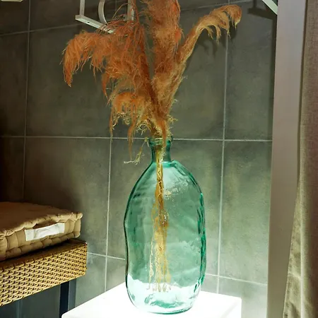 Sauna & Bain Balneo Apartment