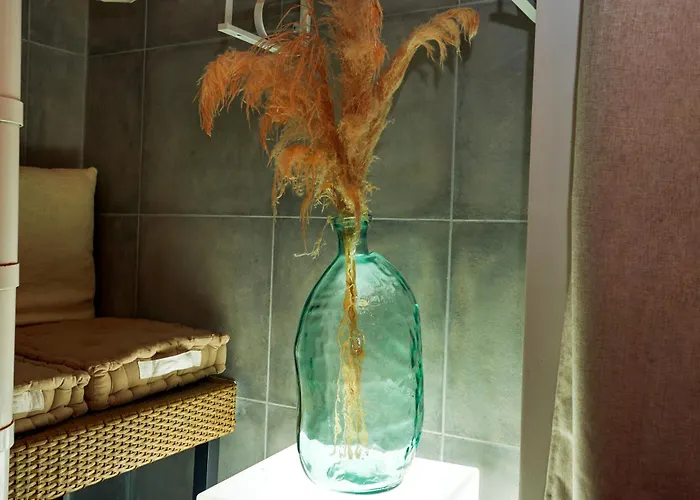 Sauna & Bain Balneo Daire